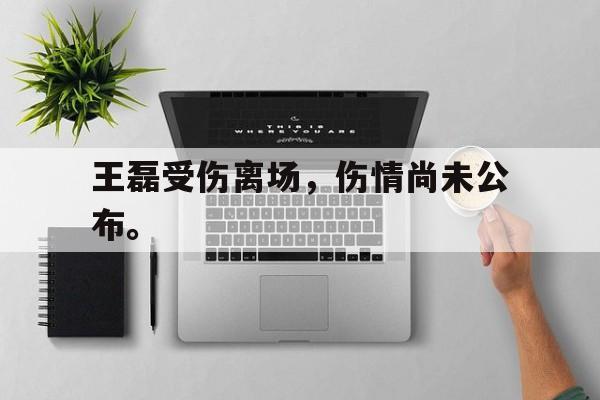 大发彩票在线登入-王磊受伤离场，伤情尚未公布。